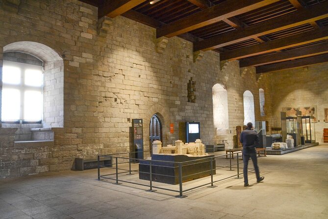 Aix en Provence and Avignon city of Popes Private Tour - Key highlights you should know