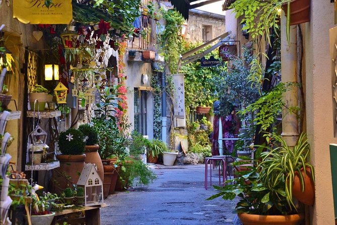 Beautiful Nice History and Attractions - Private tour - Cours Saleya flower market and Castle Park waterfall breaks