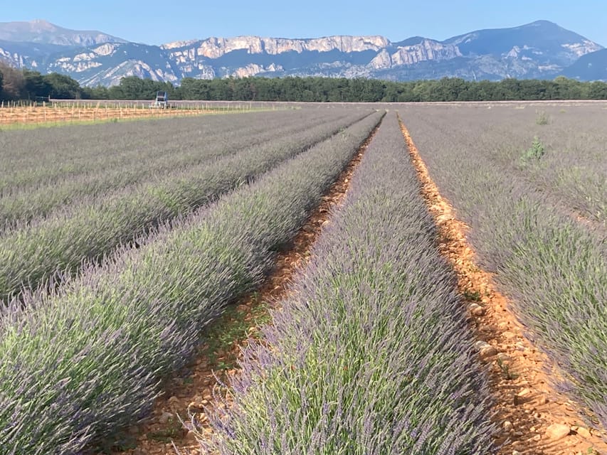 Bespoke Luxury Sightseeing Experiences - Flexible extras: hiking, cliff jumping, picnics, rafting, and lavender photos