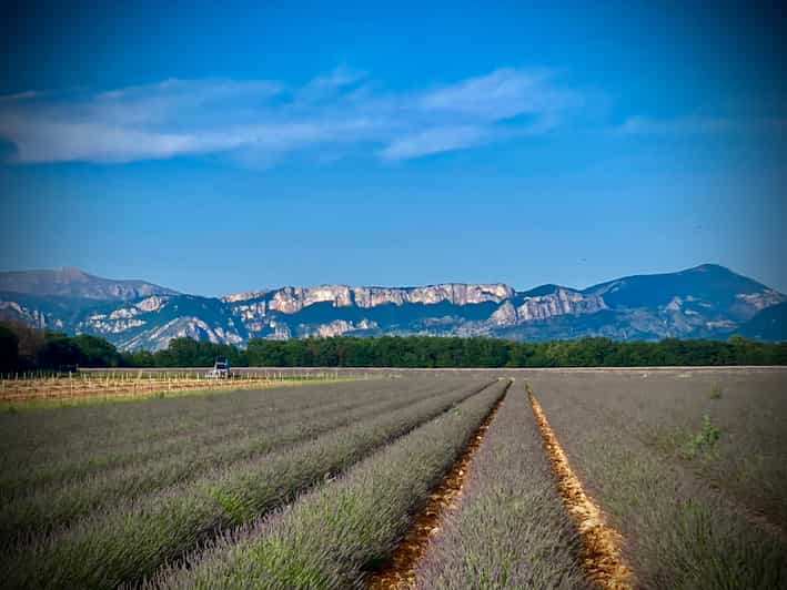 Bespoke Luxury Sightseeing Experiences - Purple Tour: Grasse, Castellane, Gorge du Verdon, and lavender time