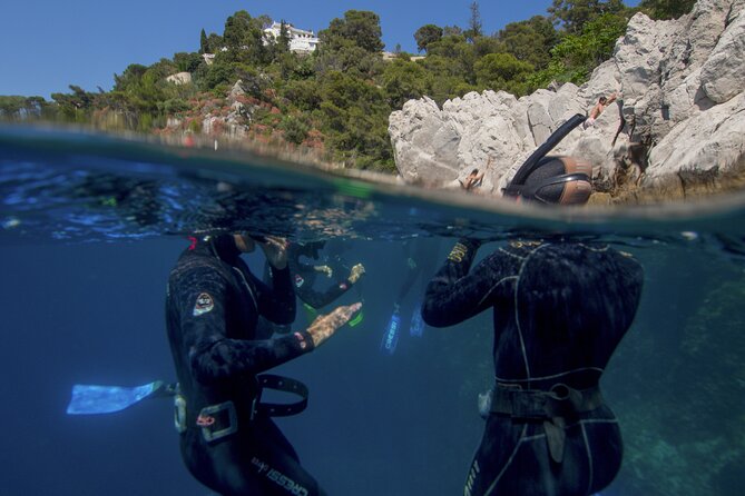 Boat trip and snorkeling in Villefranche - sur - Mer - Group Size, Sea Conditions, and That Not-So-Tropical Expectation