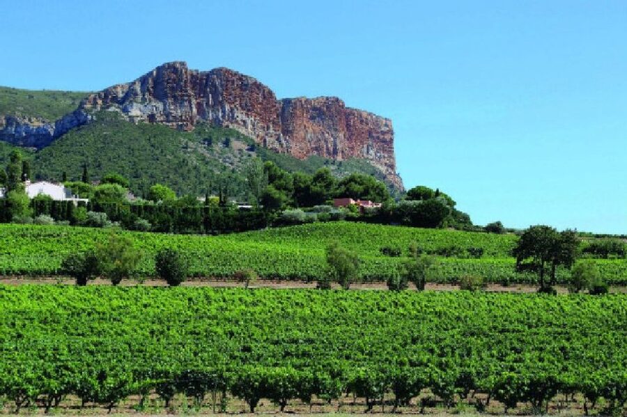 Calanques of Cassis, Aix-en-Provence & Wine Tasting Day Tour - Key takeaways