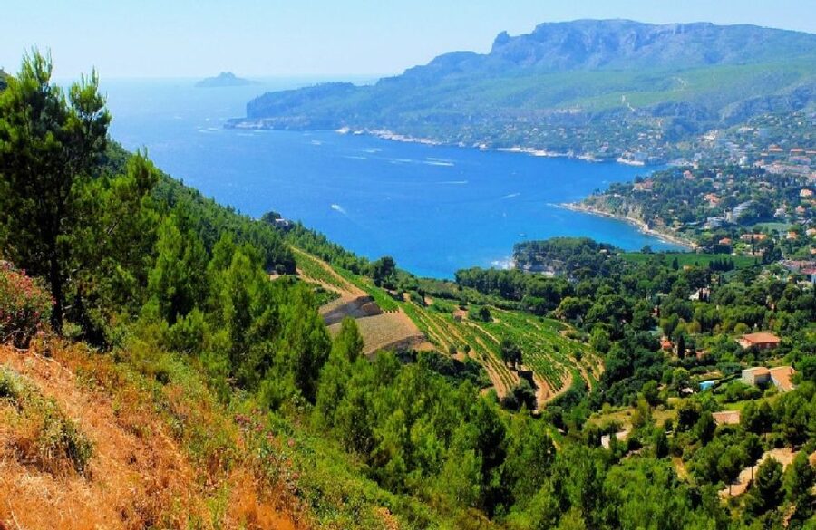 Calanques of Cassis, Aix-en-Provence & Wine Tasting Day Tour - Aix-en-Provence fountains and baroque streets, in the most practical way