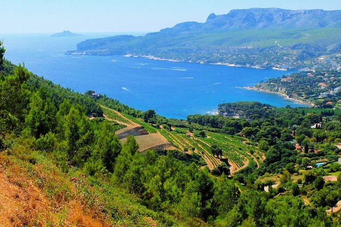 Calanques of Cassis, Aix-en-Provence & Wine Tasting Private Tour - Morning pickup: less stress, more time in the region