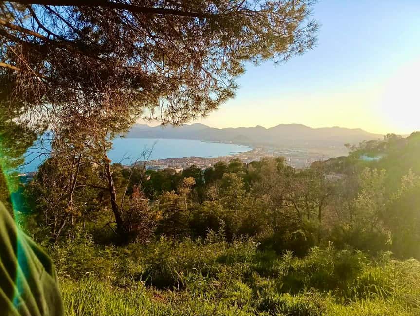 Cannes: Beyond the Red Carpet Walking Tour with Food & Wine - Price and Value: Is $93 Worth It for Cannes?