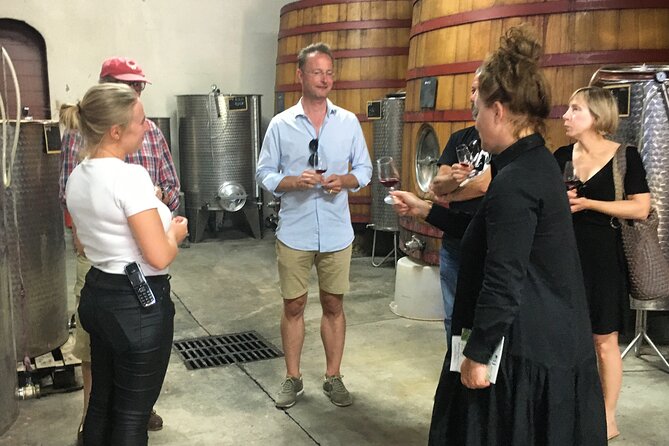 Côtes de Provence Small Group Day Trip with Winery Visits & Tastings from Nice - Who should book this day trip from Nice (and who should skip it)