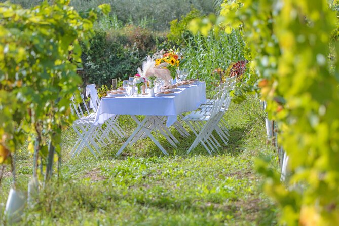 Dinner in the Vineyard French Riviera - Who the Hosts Are, and Why Their Style Matters