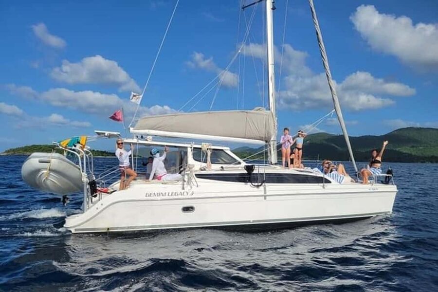 Enjoy a magical cruise on the incredible French Riviera! - Dolphins: When They Show Up, You Notice Everything Else