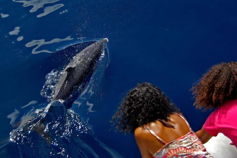 Enjoy a magical cruise on the incredible French Riviera! - Swimming Time in Turquoise Water, With Gear That Actually Helps