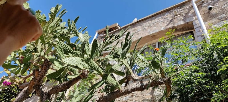 Èze: Walking Tour with a Certified Local Guide - Who this tour suits best, and who might want another plan