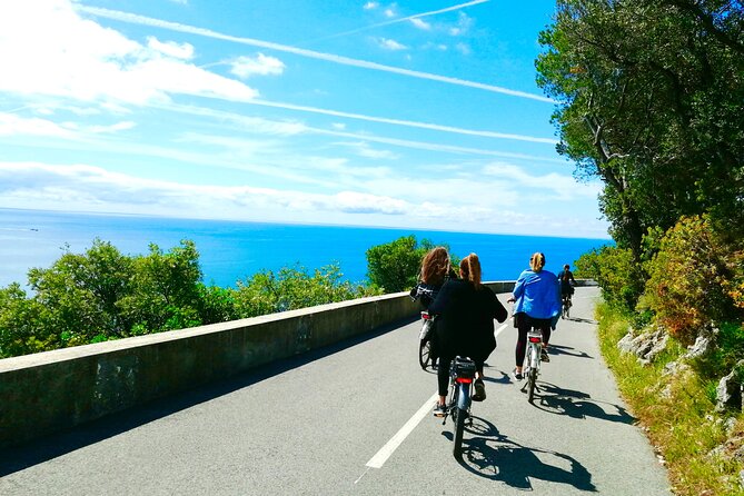 French Riviera Grand Panoramic E-Bike Tour - Port Lympia First, Then Mont-Boron’s Forest Fort Views