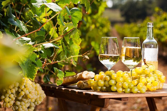 French Riviera, Wine tasting, Provencal market and Countryside - A Riviera Route That Feels Personal, Not Rushed