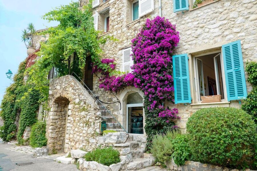 From Nice: Cannes, Antibes & St Paul de Vence Half-Day Tour - Why the guide experience matters on this route
