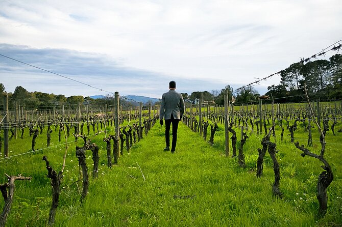 From Nice: Chateau de Cremat and Chateau Ste Roseline Wine Tour - Promenade des Anglais Drive: Sea Views Without the Hassle