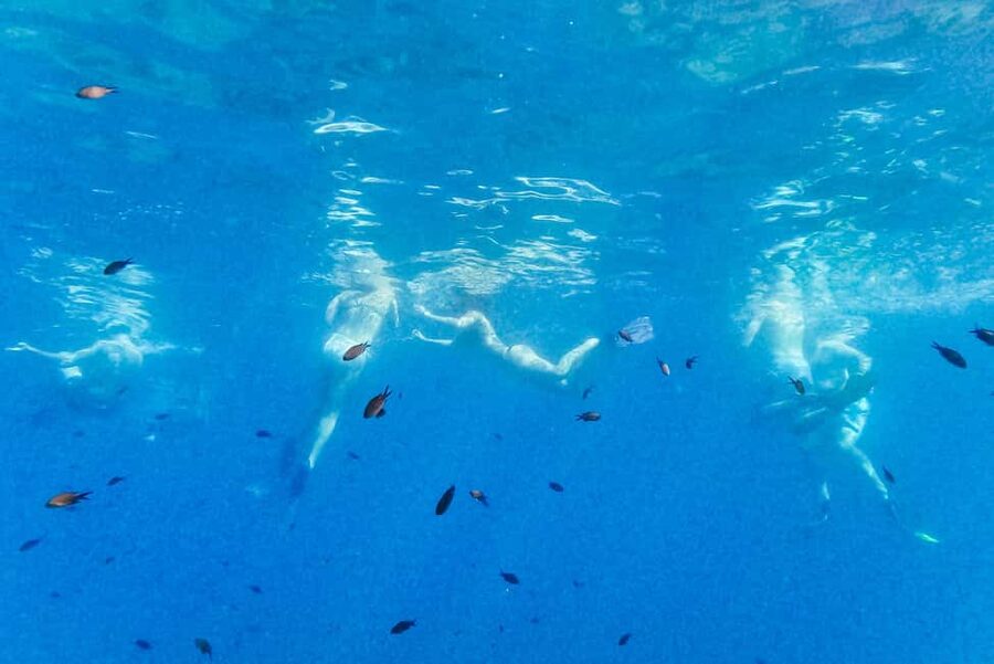 From Nice: French Riviera Swimming and Snorkeling Cruise - Snorkeling gear, wetsuits, and the small stuff that changes comfort