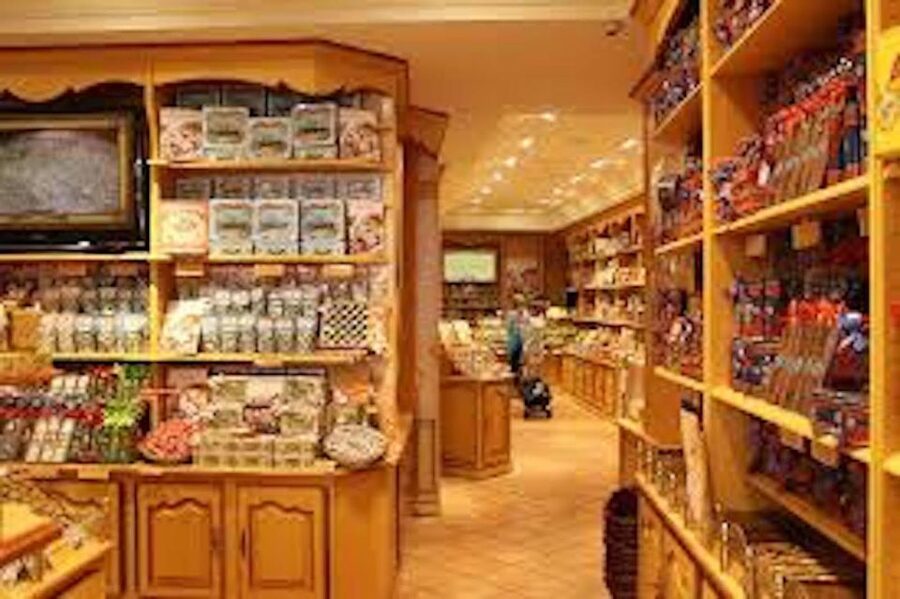 From Nice: Full-Day Provence and Lavender Tour - Who This Tour Best Fits