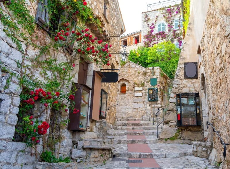 From Nice: Half-day excursion to Eze, Monaco and Monte-Carlo - Monaco old town walk, Prince’s Palace area, and the cathedral sight