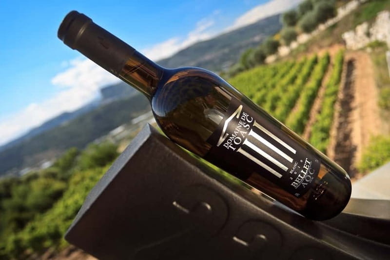 From Nice: Half-Day Wine Tour in the Bellet Wine Region - Pacing and comfort: why 210 minutes works for a half-day