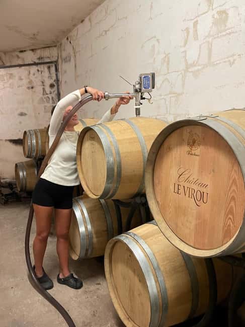From Nice: Half-Day Wine Tour in the Bellet Wine Region - Who this Bellet tour suits best