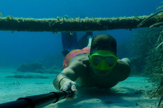 From Nice : Lerins Islands Boat Excursion with Snorkeling - What you pay, what you get, and what to bring