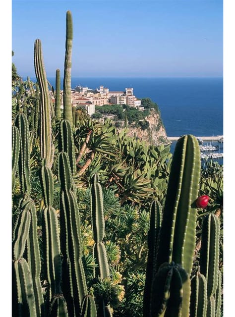 From Nice: Monaco, Monte Carlo & Eze Full-Day Tour - Key things that make this tour worth your time