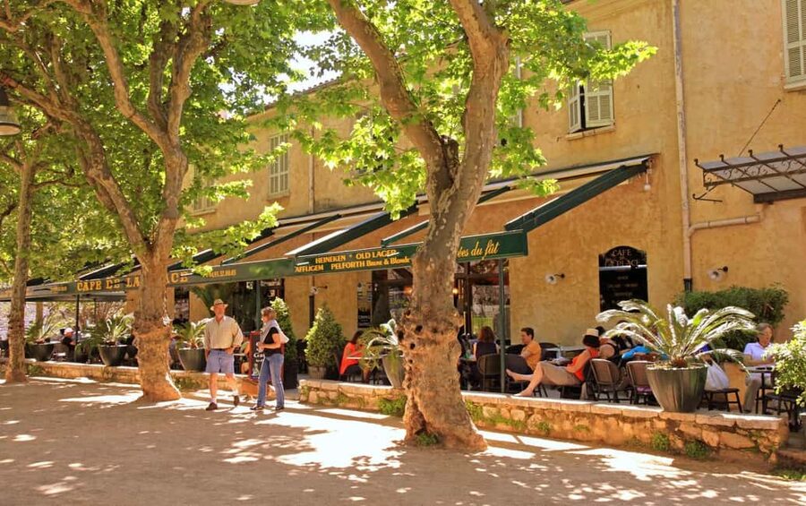 From Nice or Cannes: Private Guided Tour to Grasse & St-Paul - Should you book the Grasse and Saint-Paul private tour?