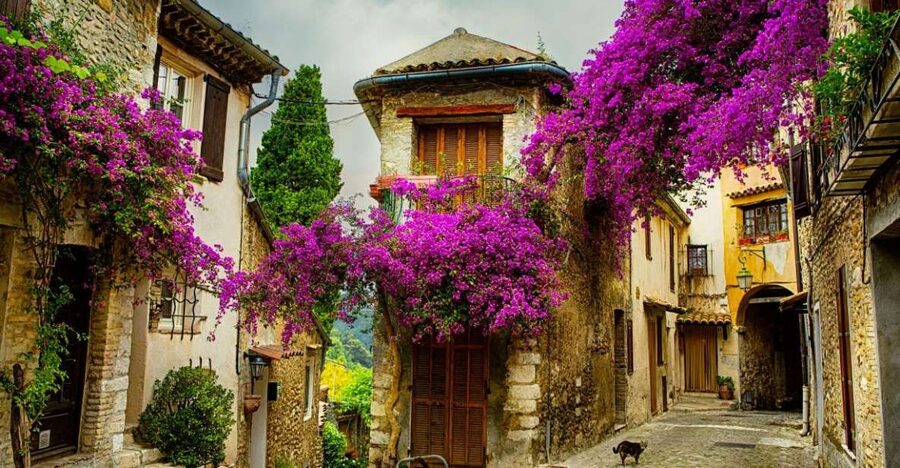 From Nice: Provence and its Medieval Villages Full-Day Tour - Quick hits before you go