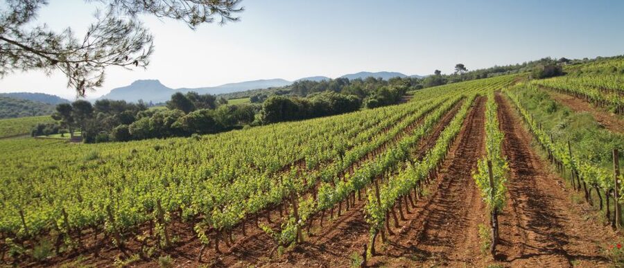 From Nice: Provence Wine Full-Day Tour - Key highlights at a glance