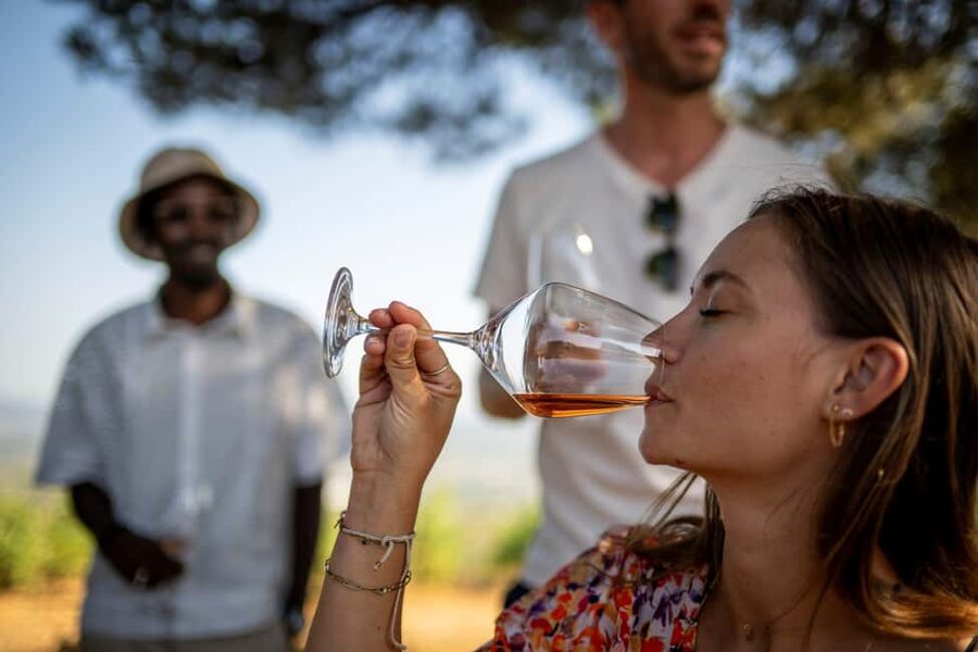 From Nice: Provence Wine Full-Day Tour - Price and value: what $211 buys in a full 8 hours