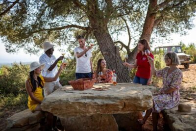 Provence Wine Full-Day Tour