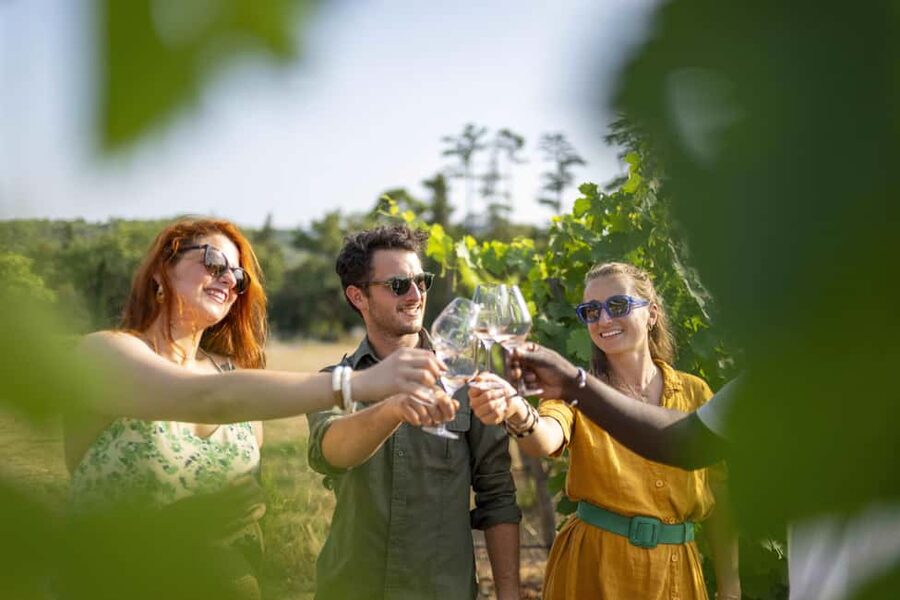 From Nice: Provence Wine Full-Day Tour - Lunch in a medieval village square: plan for it, not just hope