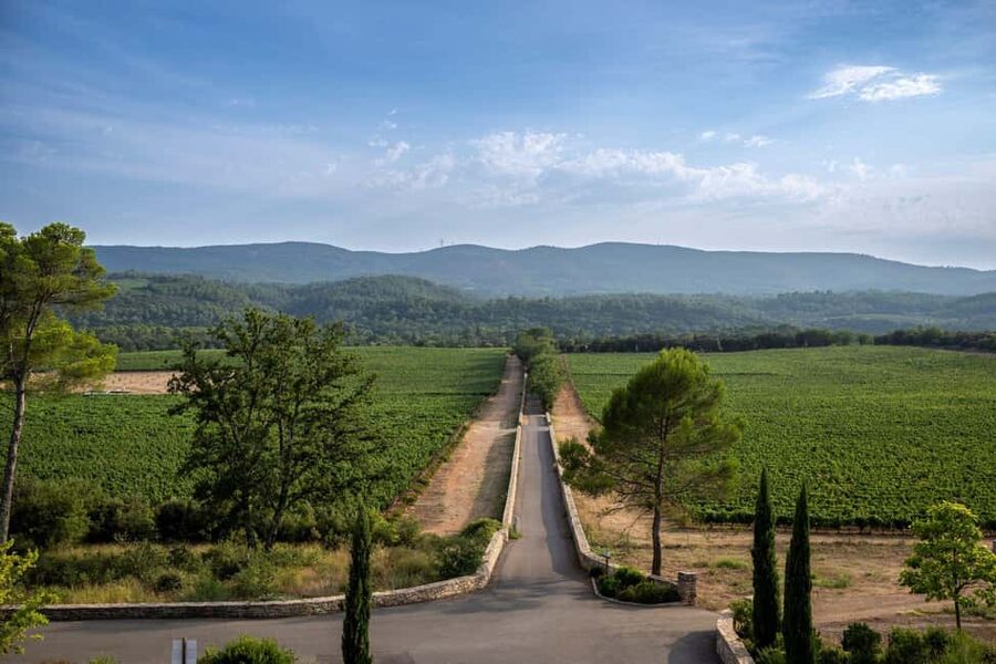 From Nice: Provence Wine Full-Day Tour - Stop 2: Four generations of family wine-making and terrace tastings