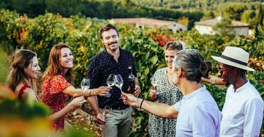 From Nice: Provence Wine Full-Day Tour - Small group energy, air-conditioned comfort, and a day that stays fun