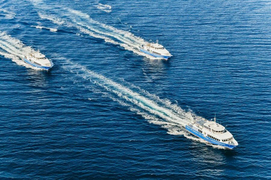 From Nice: Round-Trip Transportation to Saint Tropez by Boat - Nice to Saint-Tropez by boat, the stress-free way to skip transport puzzles