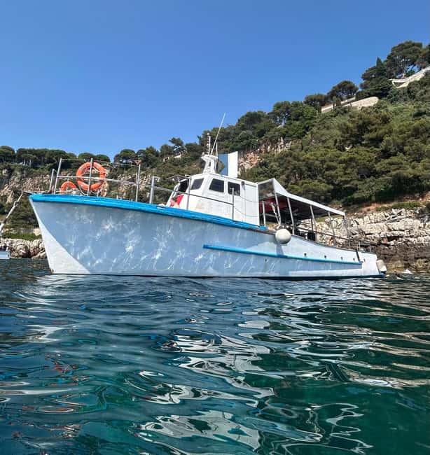 From Nice: Villefranche Bay Swimming & Snorkeling Boat Tour - Key points at a glance