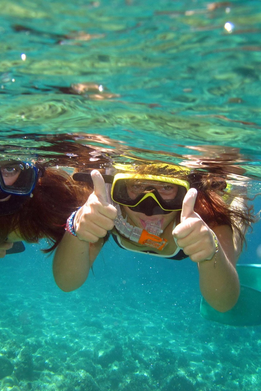 From Nice: Villefranche Bay Swimming & Snorkeling Boat Tour - Price and value: why $58 can make sense here
