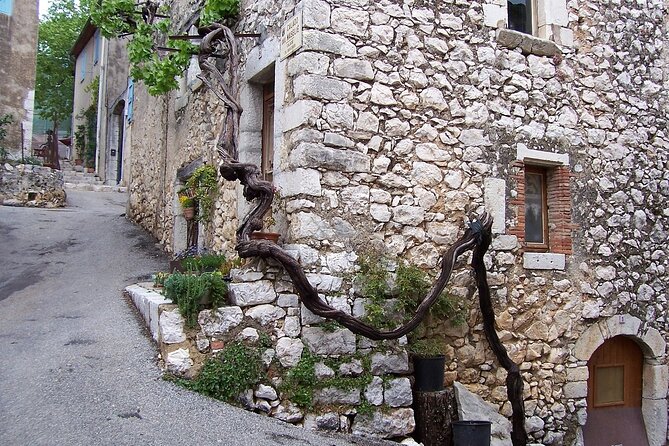 Full day Guided Tour: Cannes, Antibes, St Paul de Vence from Nice - Cannes Palais des Festivals: a photo stop, not a museum visit
