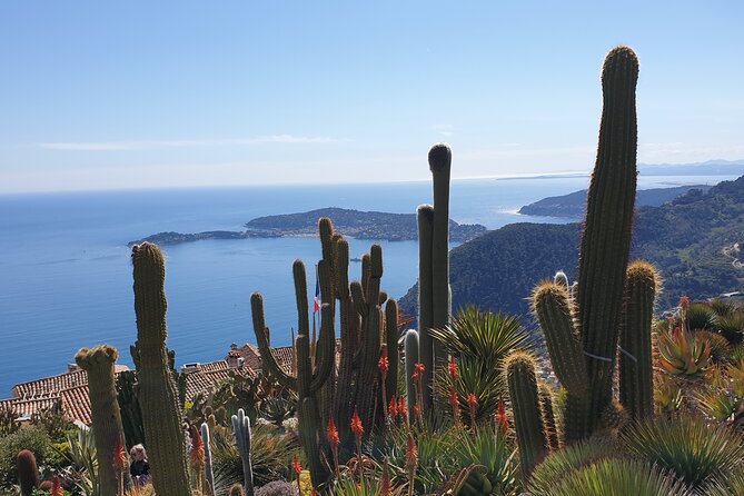 Full-Day Private Tour of Nice, Monaco and Eze Village with private guide - How the day works: a private 8-hour route with real breathing room