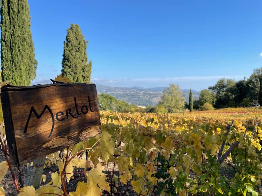 Full-Day Wine Tour in Bellet & Saint-Paul de Vence From Nice - Bellet and Saint-Paul de Vence: a wine day with real Riviera variety
