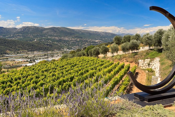 Full-day Wine Tour in Bellet & Saint-Paul de Vence from Nice - Saint-Paul de Vence Lunch Break: Cobblestones, Views, and Your Own Pace