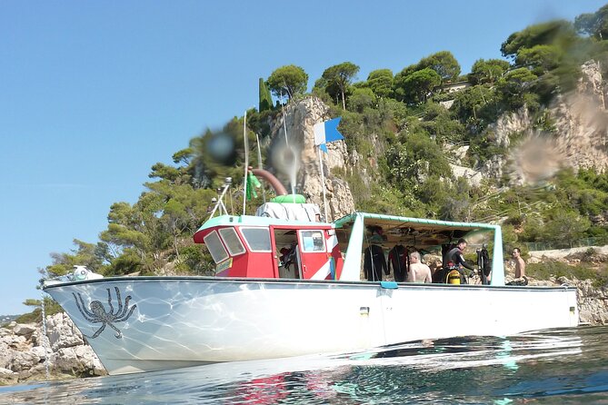 Half Day Snorkeling & Diving in Nice - Price and value for a 3-hour, max-6 experience at sea