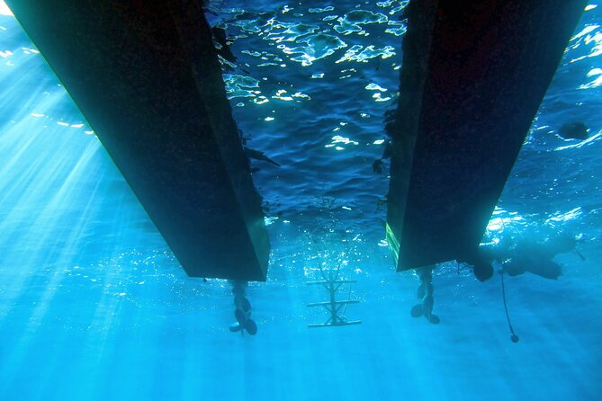 Half Day Snorkeling & Diving in Nice - Who should book: swimmers 8+, non-swimmers with a supplement, and who might skip