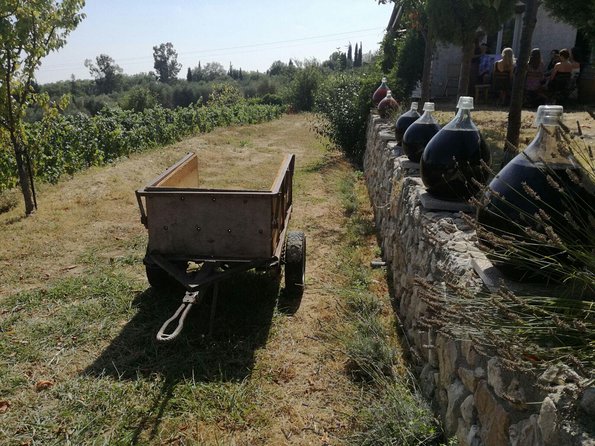 Half-Day Wine Tasting and Saint Paul de Vence Tour from Nice - Key Points You Should Care About