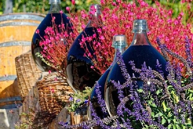 Half-Day Wine Tasting and Saint Paul de Vence Tour from Nice - Driving Routes, Timing, and Comfort on Curvy Roads