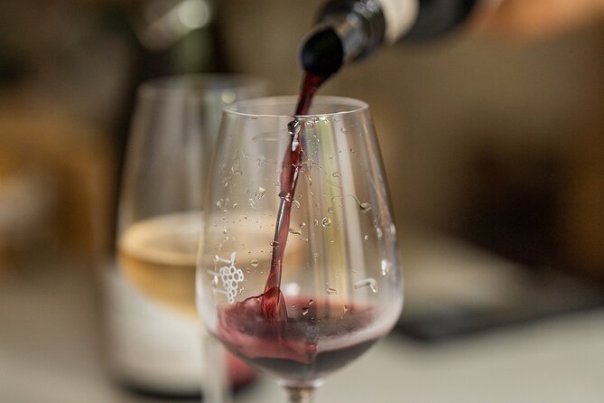 Introduction to Wine Tasting in Nice city centre (6 French wines) - French wine regions and winemaking, explained in plain talk