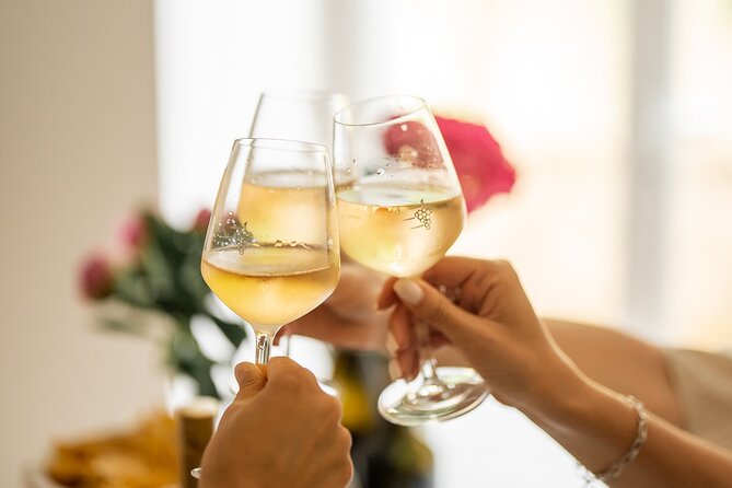 Introduction to Wine Tasting in Nice city centre (6 French wines) - Who this wine tasting suits best (and who might not)