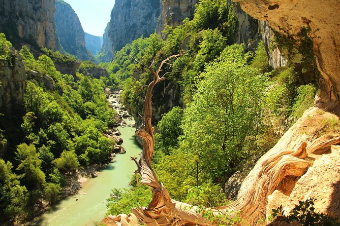 Lavender Fields and Verdon Gorge Adventure from Nice - Lac de Sainte-Croix and Verdon Gorge: Europe’s Canyon Day