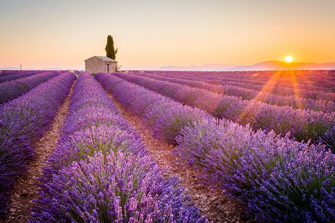 Lavender Fields and Verdon Gorge Adventure from Nice - Moustiers-Sainte-Marie: Pottery, Cobblestones, and Cliffside Views