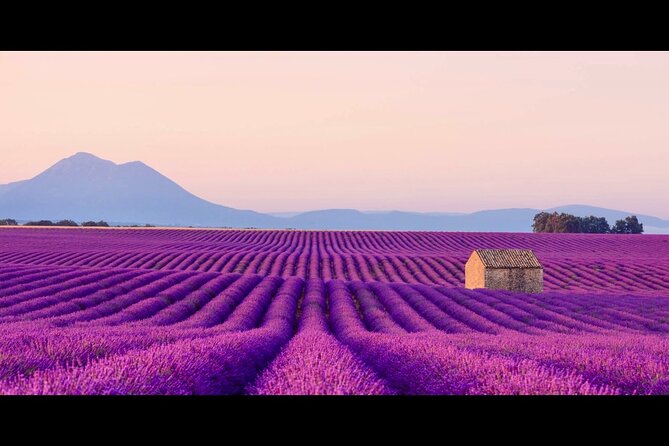Lavender - Verdon Canyon - Castellane - Moustier - Small Group - Quick start in Gorges du Loup: a short stop with a clear purpose