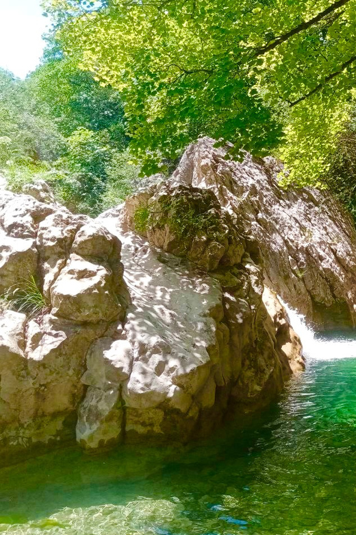 Mountain Train Experience: Hike & Mystic Forest (From Nice) - Key highlights I’d plan around